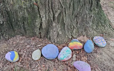 Discovering the delightfully unexpected